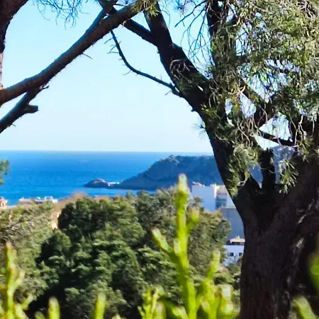 Family With Incredible Ocean Views Hébergement de vacances *